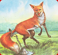 You are currently viewing A Moral Story : The Fox Without Tail