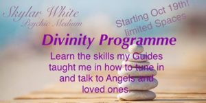 Read more about the article The Divinity Program by Skyla White