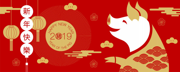 You are currently viewing Chinese Year of the Pig Forecast