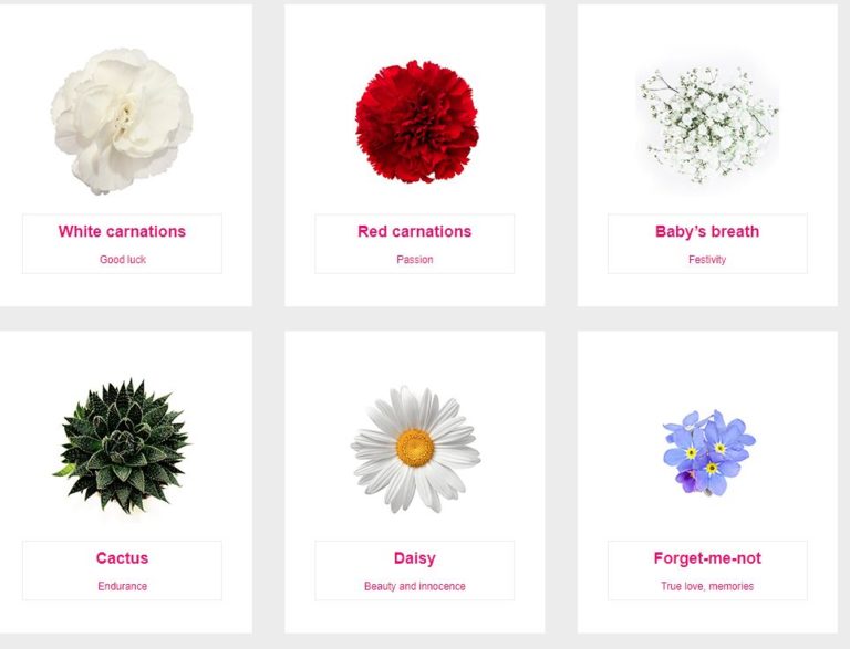 The hidden meanings and emotions of Flowers Psychic Cafe Tauranga