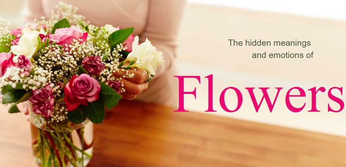 The hidden meanings and emotions of Flowers