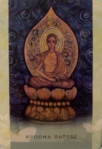 Read more about the article Card of the Day ~ Buddha Nature 🪷