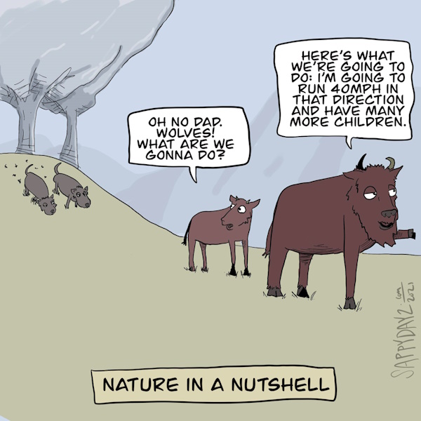 Cartoon
