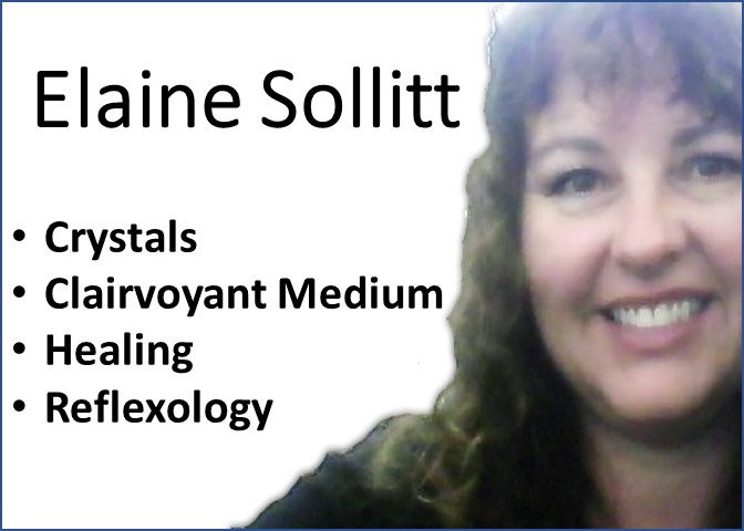 Read more about the article ELAINE SOLLITT