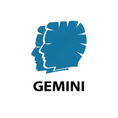 Gemini 1