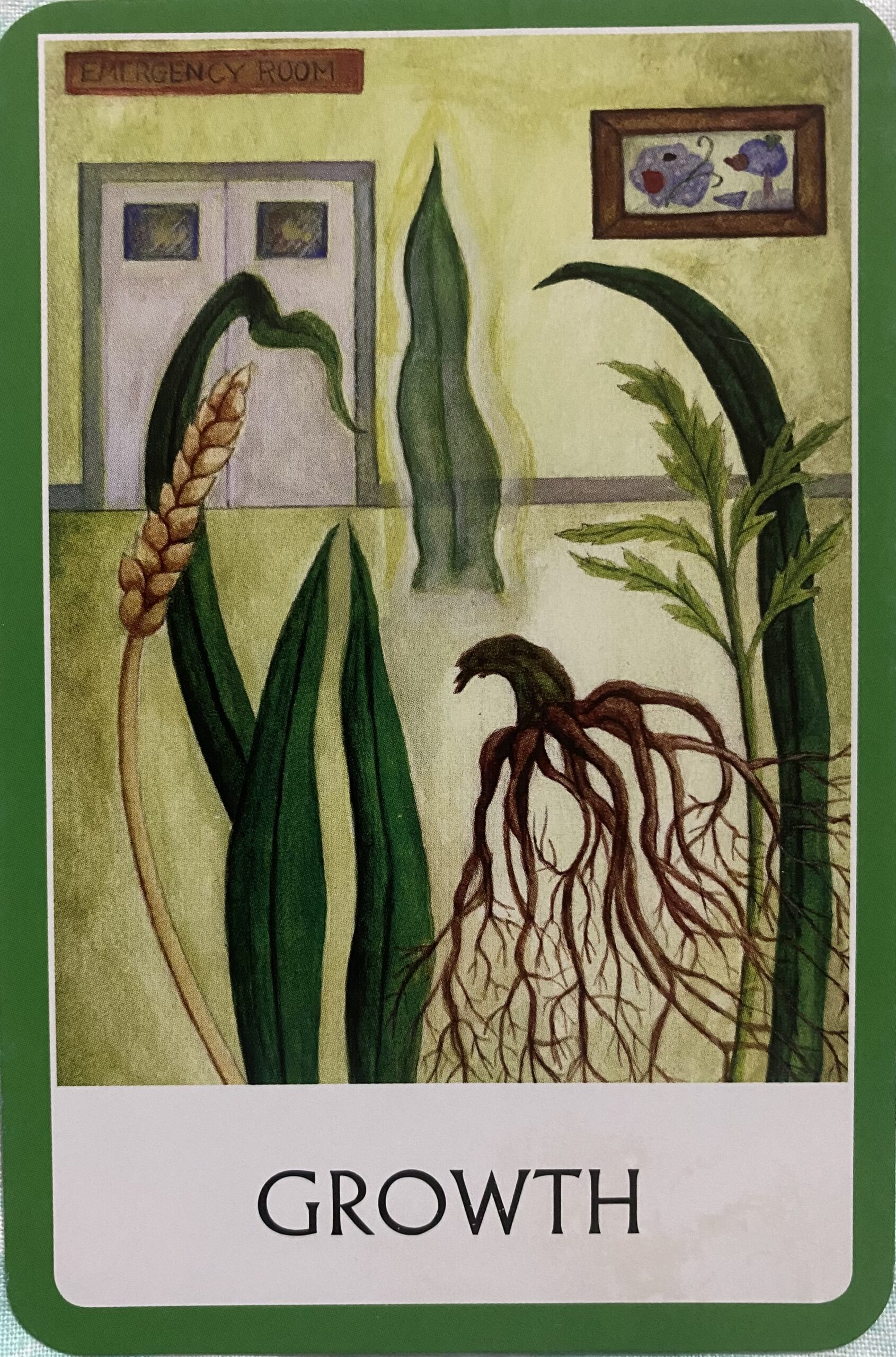 You are currently viewing Card of the Day ~ Growth 🌱