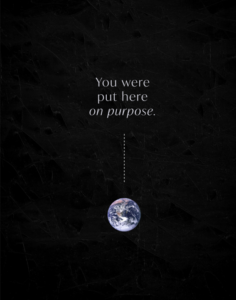 Purpose 1