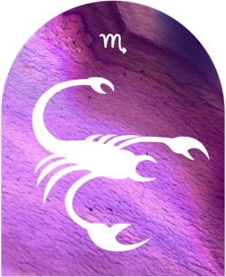 You are currently viewing Scorpio Horoscope 2024: What the Stars Predict for You This Year