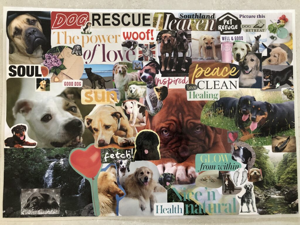 Seijas Old Vision Board