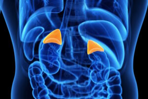 Adrenals