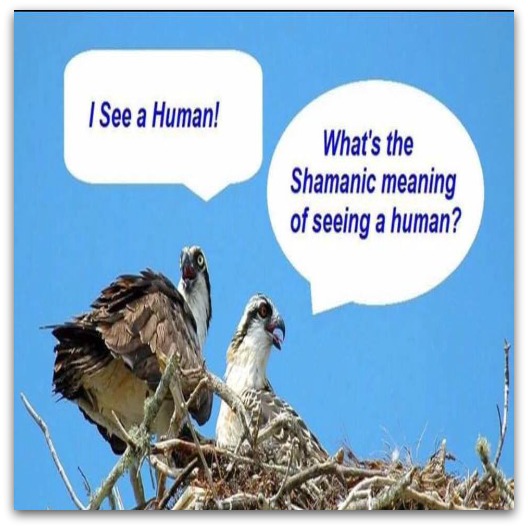 Funny