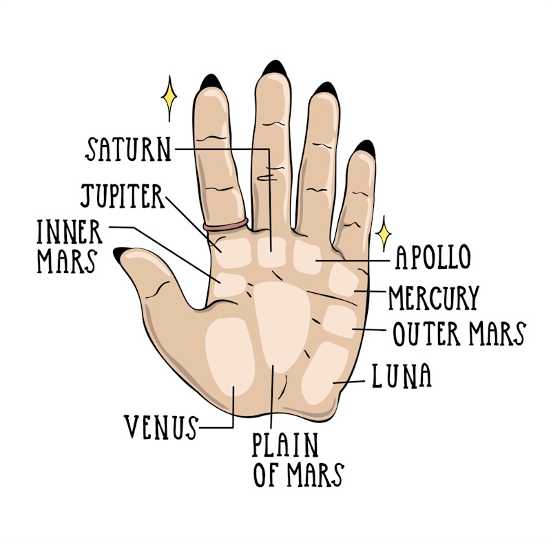 Hands 3