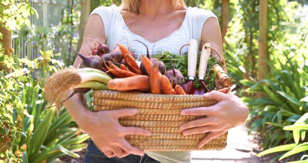 MINDFUL EATING: A POWERFUL TOOL