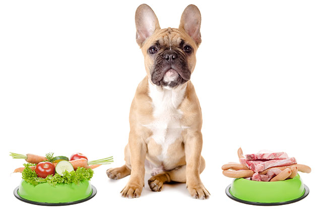 6 PET SUPERFOODS TO KEEP YOUR PETS EXTRA HEALTHY