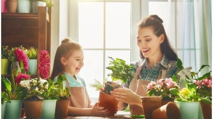 You are currently viewing 7 Indoor Plants That Create Positive Energy In Your Home