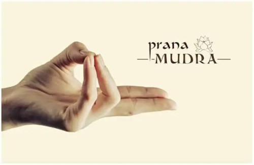 Prana