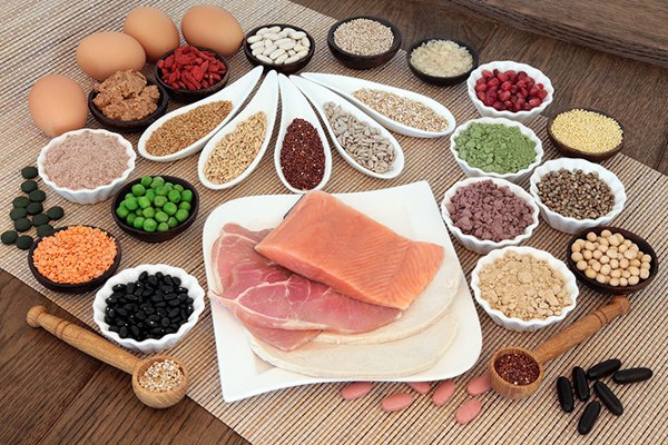 What Are The Differences Between Meat, Soy, Whey, Dairy, Hemp and Other Proteins?