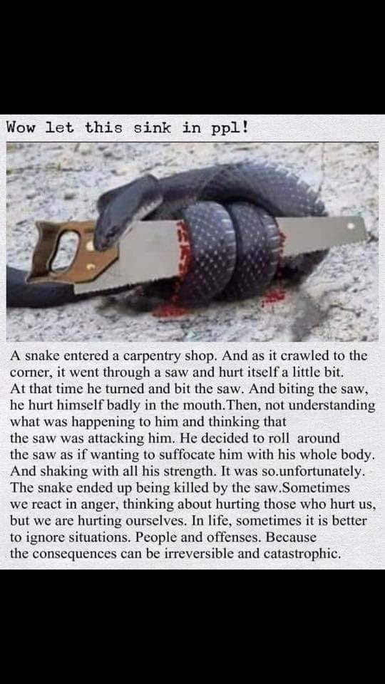 snake saw
