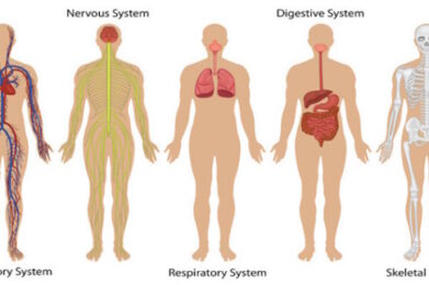 Systems