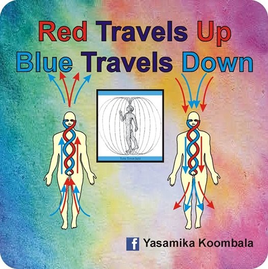 RED TRAVELS UP - BLUE TRAVELS DOWN- - says Yasamika Koombala